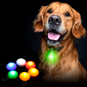 💡 Placa Luminosa LED diseño bola
