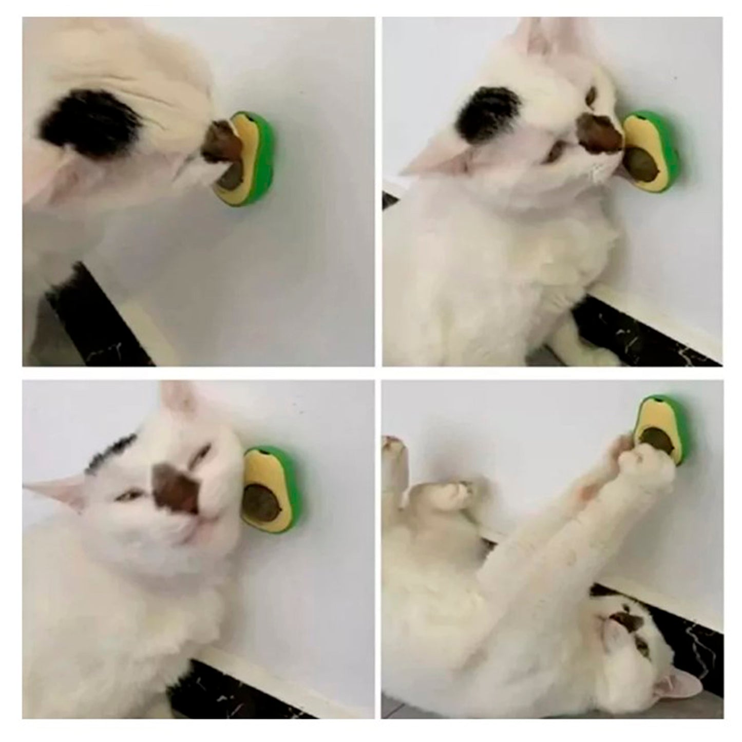 Bola de Catnip Diseño Palta