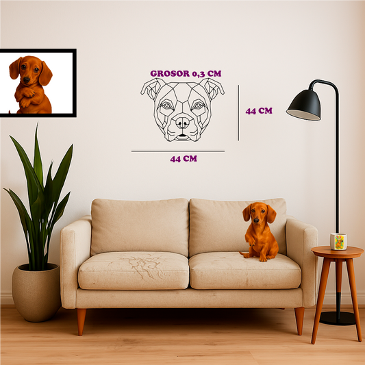 Cuadro de Perro Cara de Pitbull