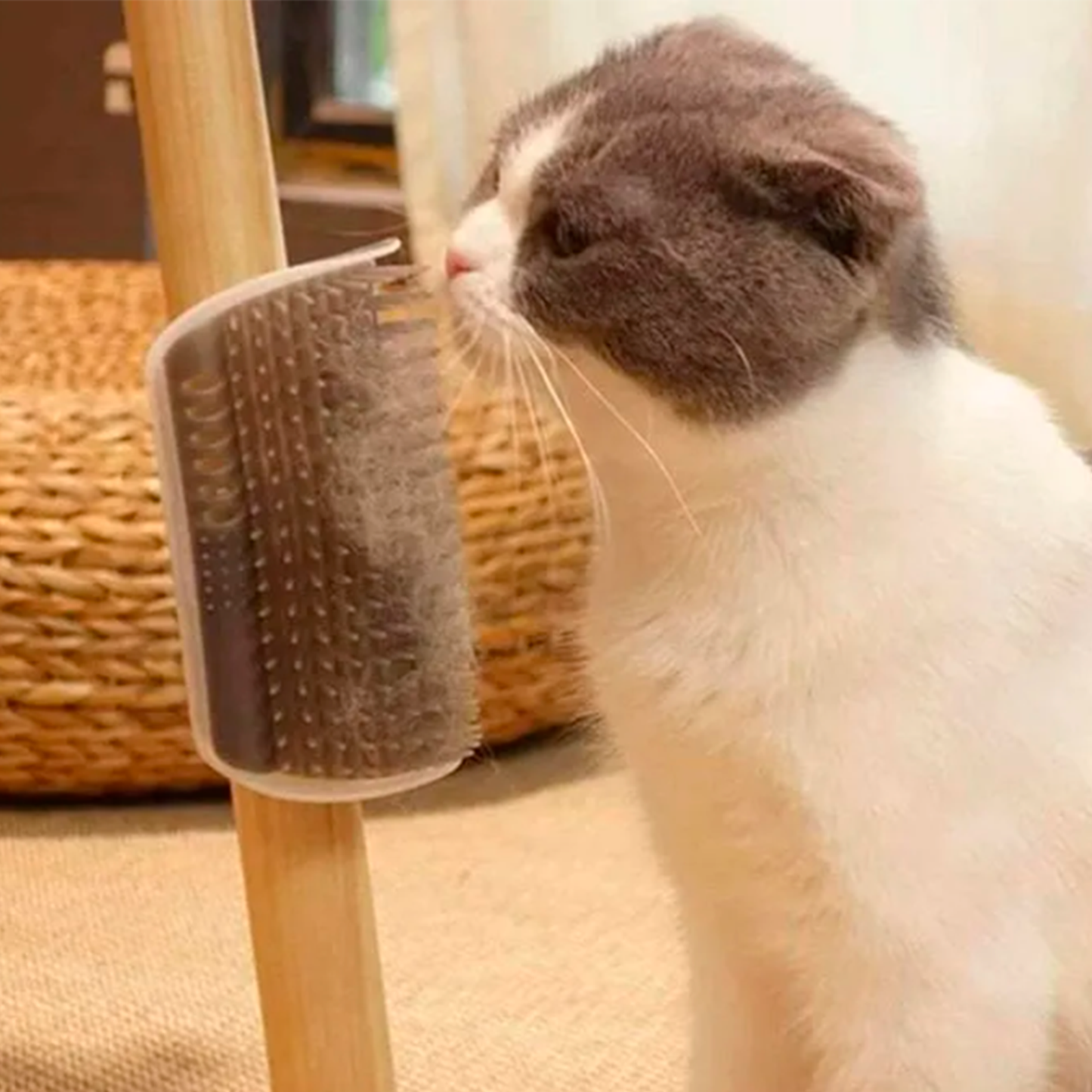 Cepillo para gato esquinero + Catnip