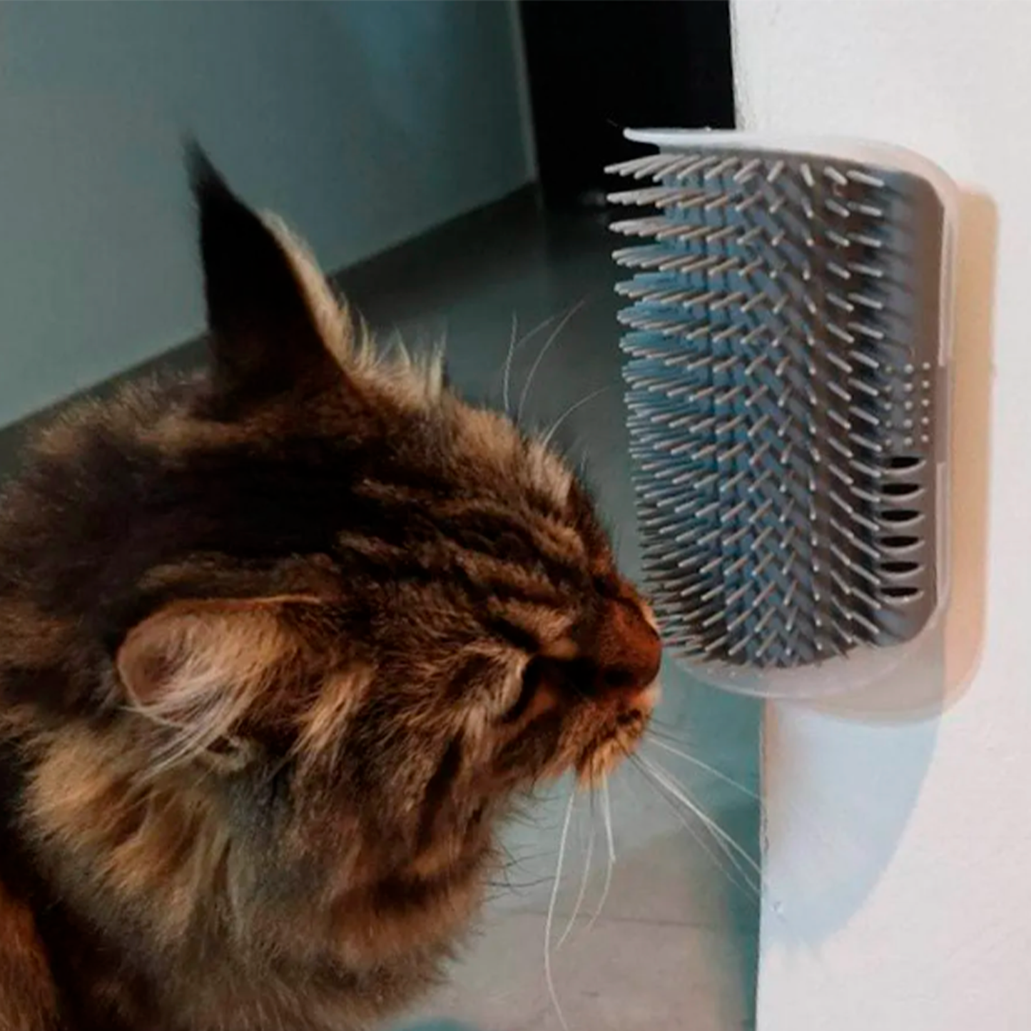 Cepillo para gato esquinero + Catnip