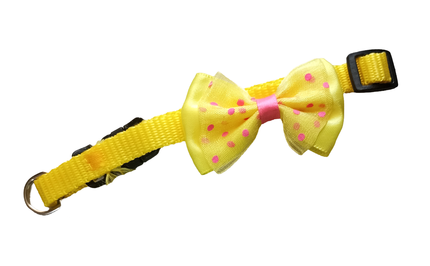 Collar para Perro o Gato Diseño Lazo