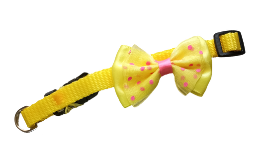 Collar para Perro o Gato Diseño Lazo