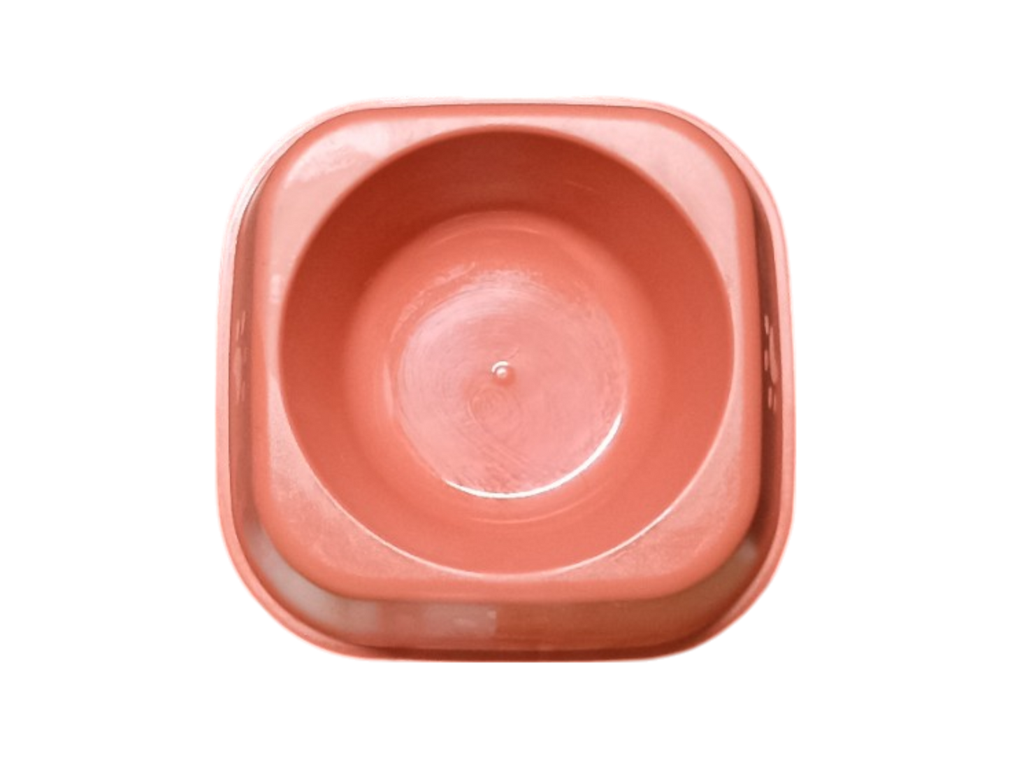 Plato Cuadrado Diseño Huellita