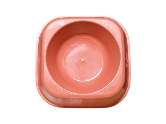 Plato Cuadrado Diseño Huellita