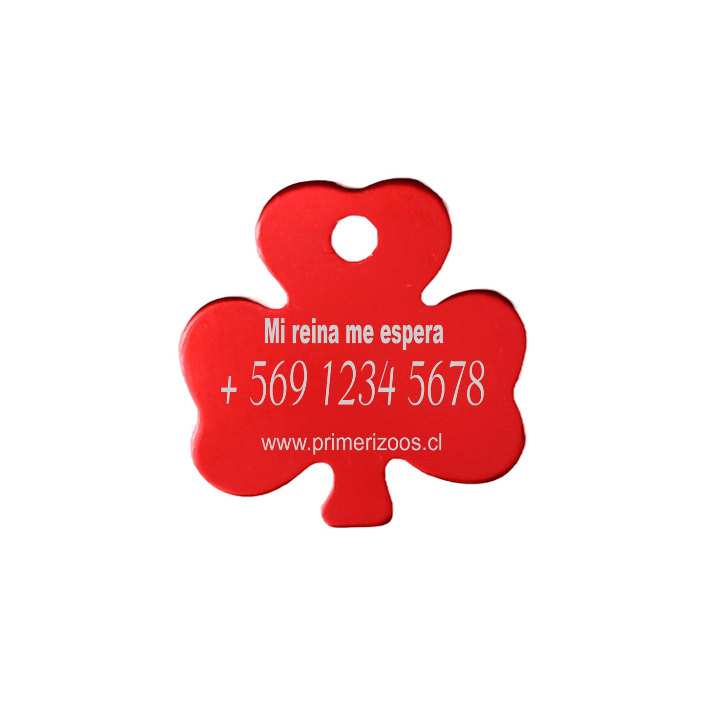 Placa de identificación Personalizable Trébol Incluye Grabado