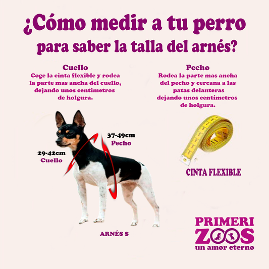 Arnes para perro Antitirones + Correa de regalo Talla S