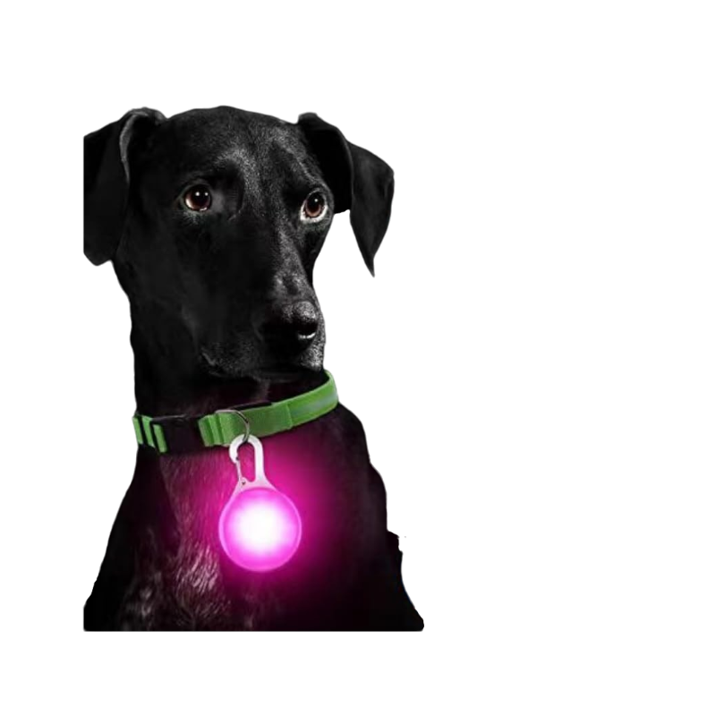 💡 Placa Luminosa LED diseño bola