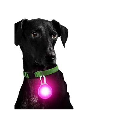 💡 Placa Luminosa LED diseño bola