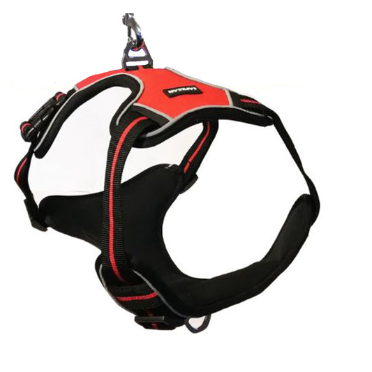 Arnes para perro  Antitirones + Correa de regalo Talla XL