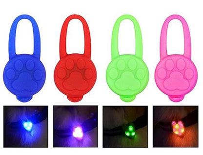 Placa Luminosa LED Diseño Patita