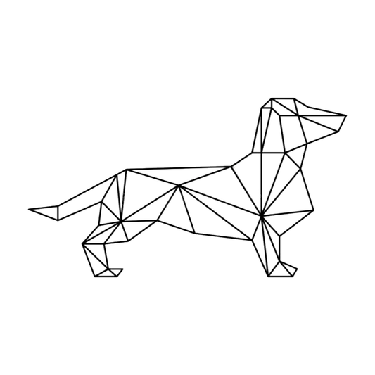 Cuadro de Perro Salchicha Geométrico