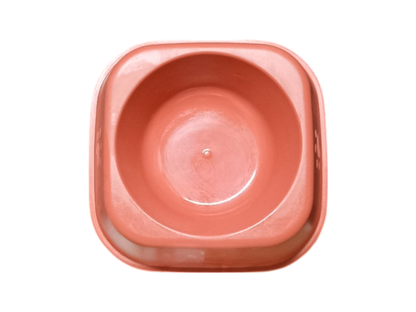Plato Cuadrado Diseño Huellita