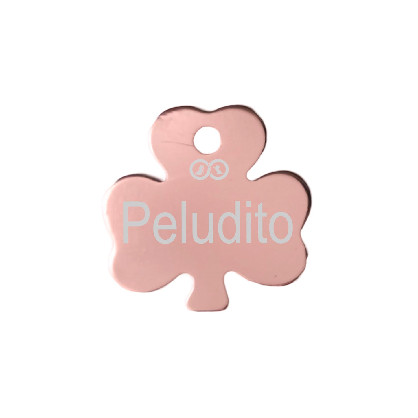 Placa de identificación Personalizable Trébol Incluye Grabado