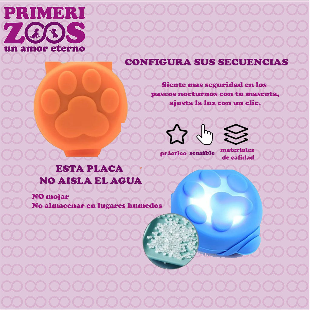 Placa Luminosa LED Diseño Patita