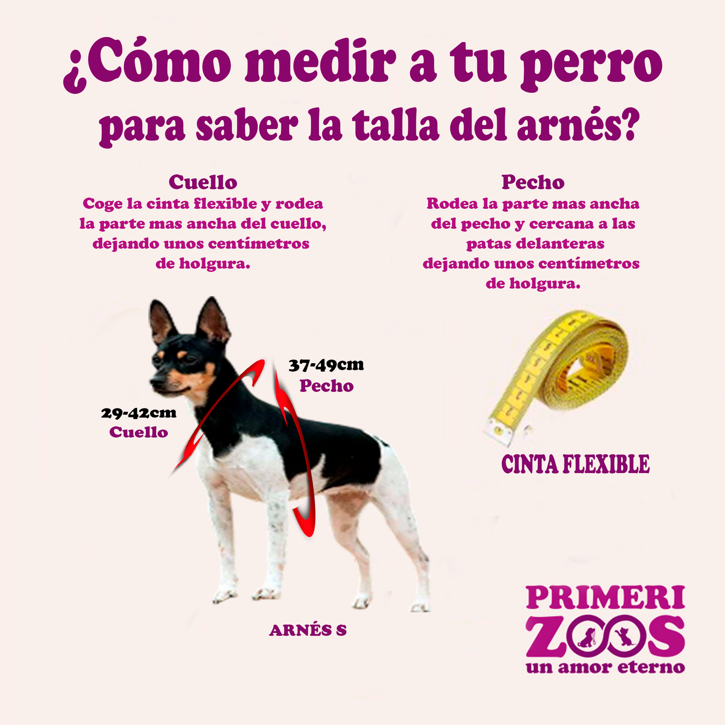 Arnes para perro  Antitirones + Correa de regalo Talla S