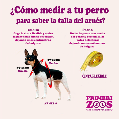 Arnes para perro  Antitirones + Correa de regalo Talla S