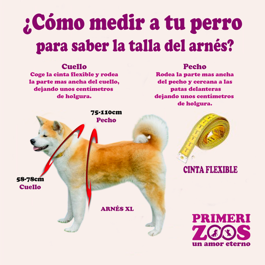 Arnes para perro  Antitirones + Correa de regalo Talla XL